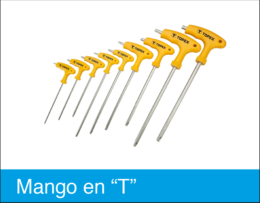 Mango_en_T
